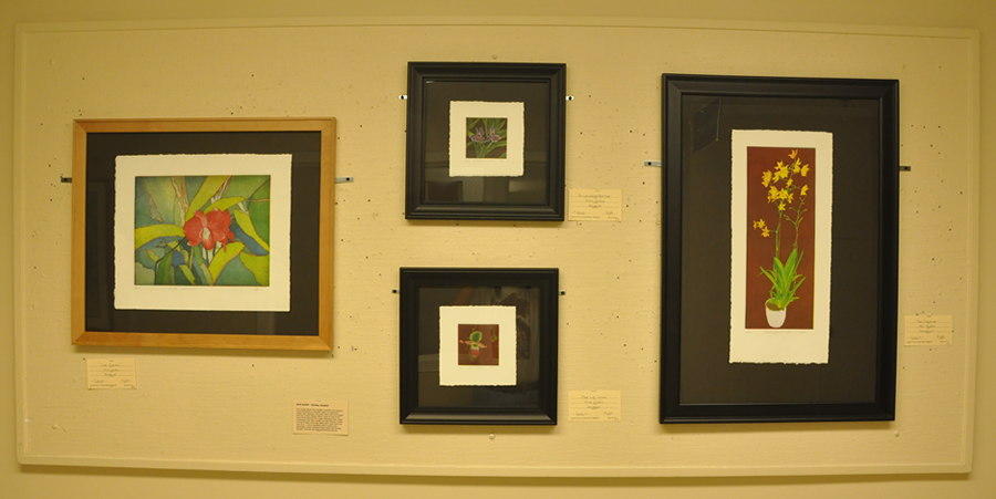 Marin General Hospital Volunteer Art Exhibit