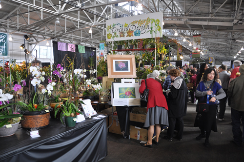 Pacific Orchid Expo